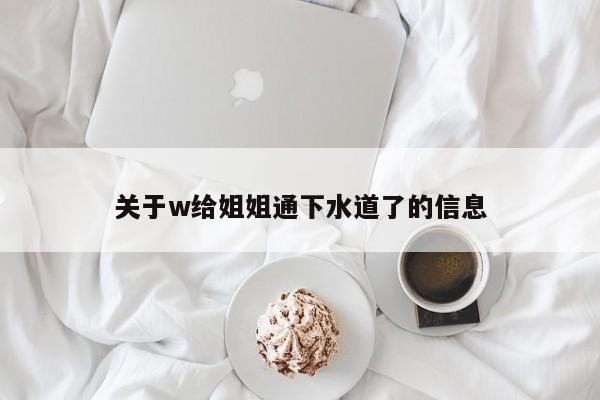 关于w给姐姐通下水道了的信息