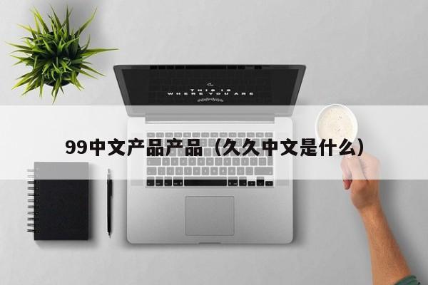 99中文产品产品(久久中文是什么)
