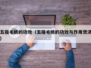 五指毛桃的功效（五指毛桃的功效与作用煲汤）