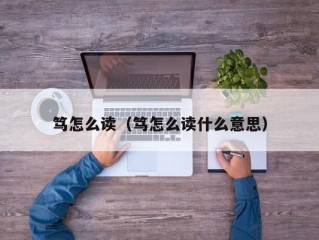 笃怎么读（笃怎么读什么意思）