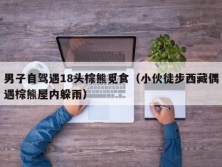 男子自驾遇18头棕熊觅食（小伙徒步西藏偶遇棕熊屋内躲雨）