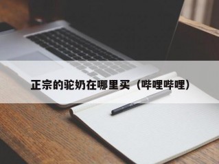 正宗的驼奶在哪里买（哔哩哔哩）