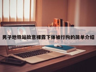 男子地铁站故意裸露下体被行拘的简单介绍