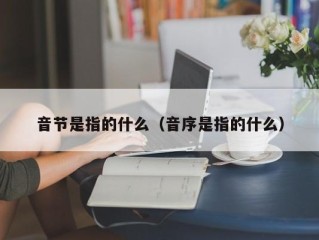 音节是指的什么（音序是指的什么）