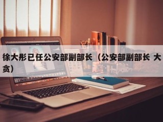 徐大彤已任公安部副部长（公安部副部长 大贪）