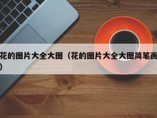 花的图片大全大图（花的图片大全大图简笔画）