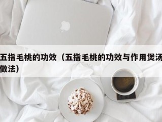 五指毛桃的功效（五指毛桃的功效与作用煲汤做法）