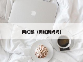 网红鹅（网红鹅妈妈）