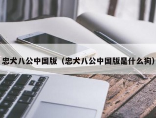 忠犬八公中国版（忠犬八公中国版是什么狗）