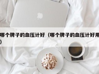 哪个牌子的血压计好（哪个牌子的血压计好用）