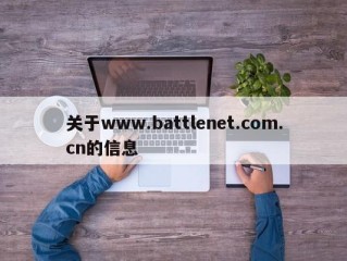 关于www.battlenet.com.cn的信息