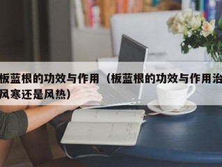 板蓝根的功效与作用（板蓝根的功效与作用治风寒还是风热）