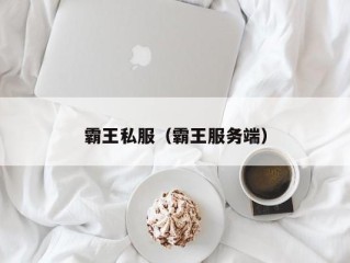 霸王私服（霸王服务端）