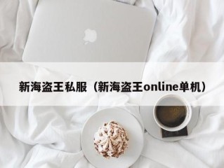 新海盗王私服（新海盗王online单机）