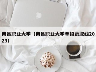 南昌职业大学（南昌职业大学单招录取线2023）