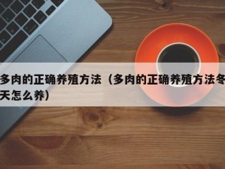 多肉的正确养殖方法（多肉的正确养殖方法冬天怎么养）