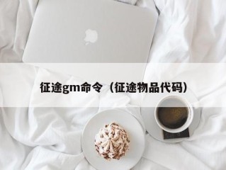 征途gm命令（征途物品代码）