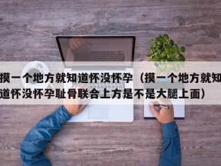 摸一个地方就知道怀没怀孕（摸一个地方就知道怀没怀孕耻骨联合上方是不是大腿上面）