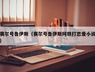 赛尔号鲁伊斯（赛尔号鲁伊斯阿铁打恋爱小说）