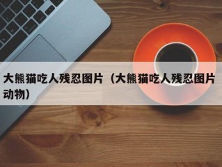 大熊猫吃人残忍图片（大熊猫吃人残忍图片 动物）