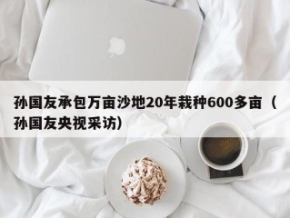 孙国友承包万亩沙地20年栽种600多亩（孙国友央视采访）