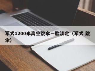 军犬1200米高空跳伞一脸淡定（军犬 跳伞）