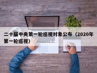 二十届中央第一轮巡视对象公布（2020年第一轮巡视）