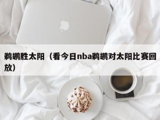 鹈鹕胜太阳（看今日nba鹈鹕对太阳比赛回放）