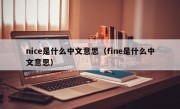 nice是什么中文意思（fine是什么中文意思）