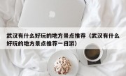 武汉有什么好玩的地方景点推荐（武汉有什么好玩的地方景点推荐一日游）